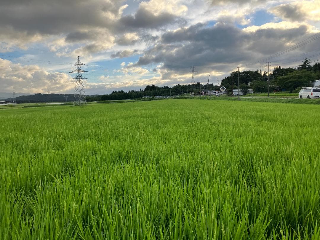 奇蹟の米「ゆうだい21」　精米27㎏　格安販売　(送料無料)