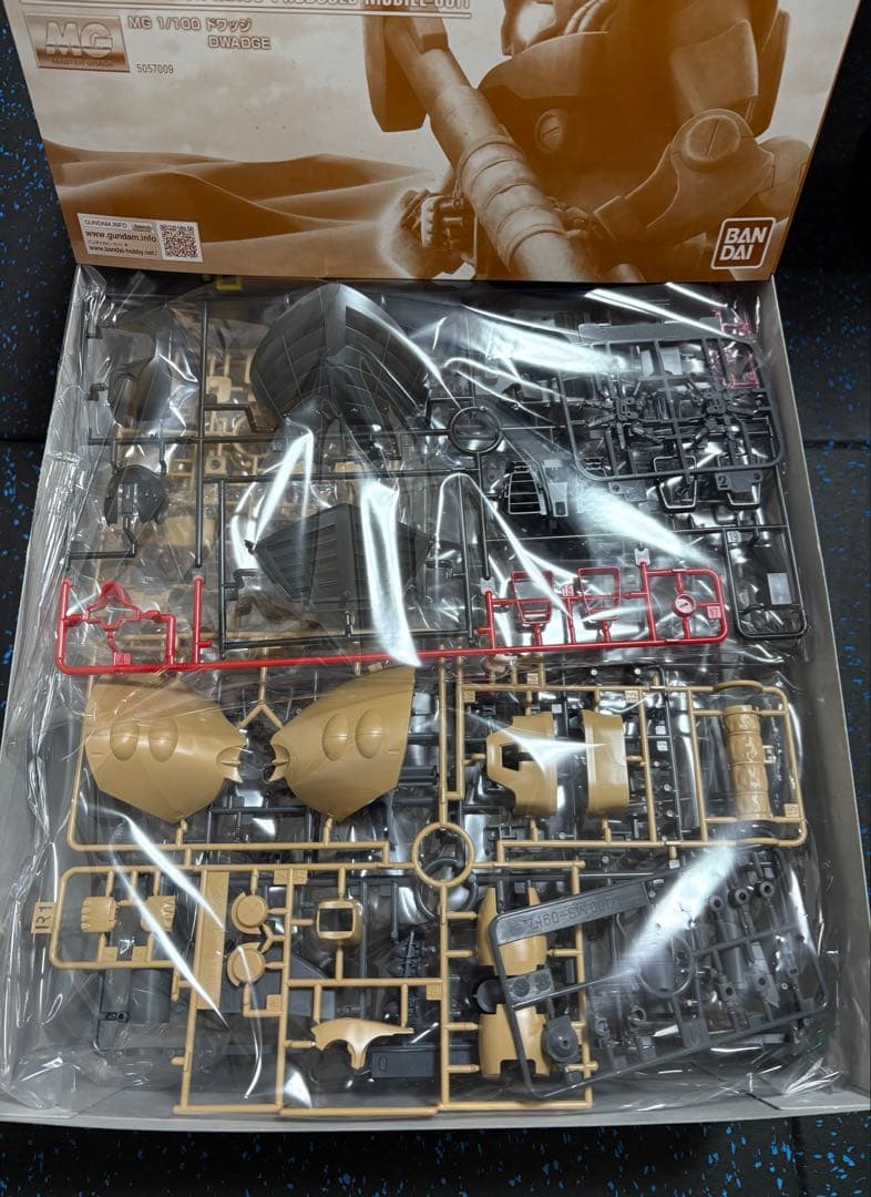 MG 1/100 ドワッジ【1】
