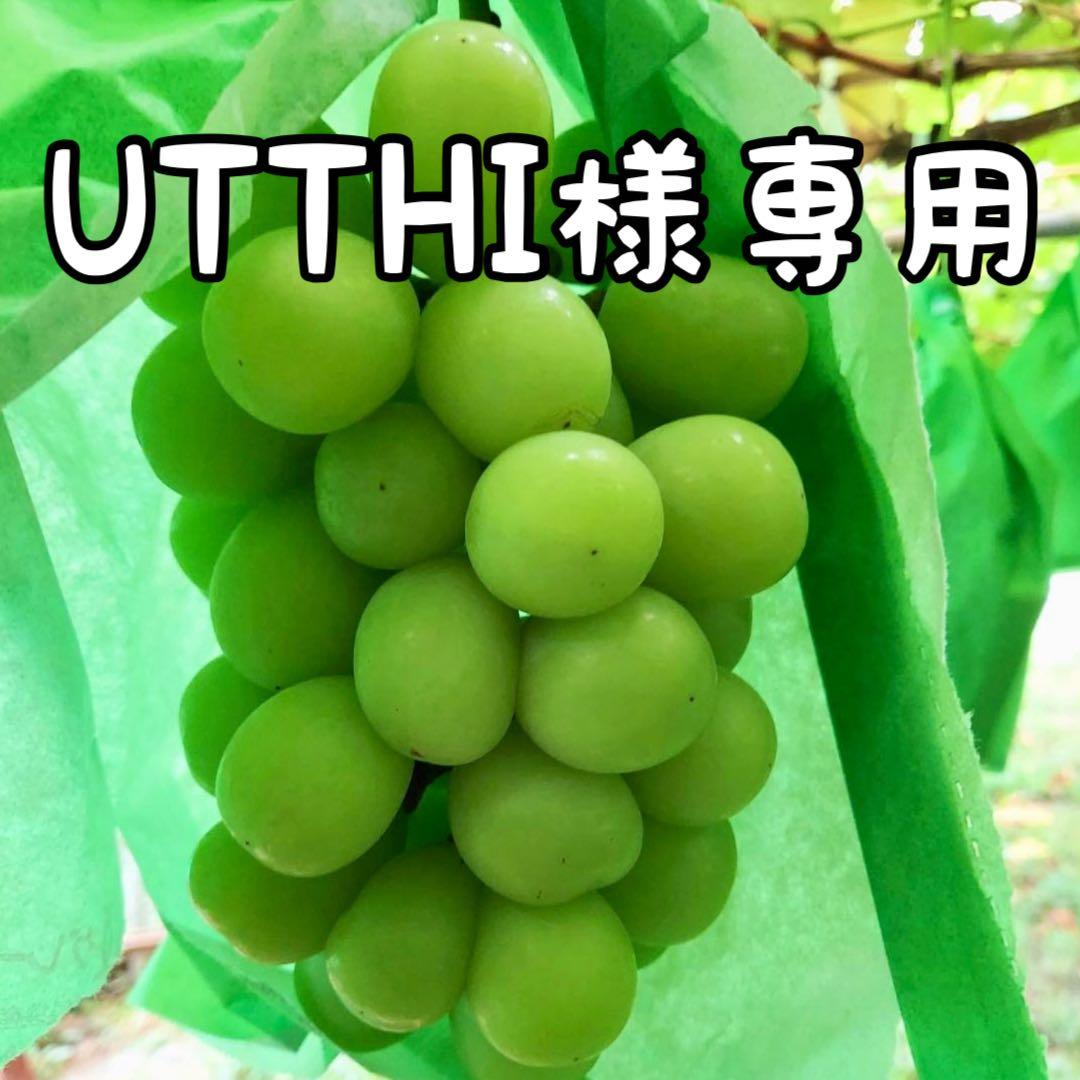 ★ UTTHI ★ 訳あり　加工用　シャインマスカット粒　10キロ