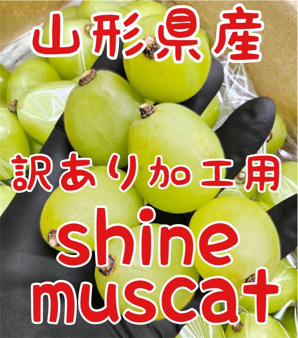 ★ UTTHI ★ 訳あり　加工用　シャインマスカット粒　10キロ