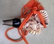 ほら貝・山伏・和楽器（オレンジ紐付き）