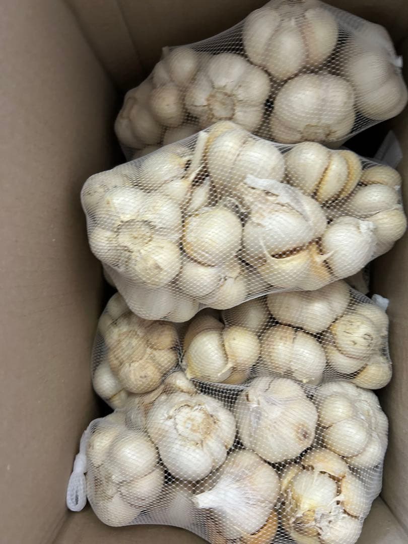 立派な青森県農薬不使用福地ホワイト大きめLサイズにんにく6キロ送料無料