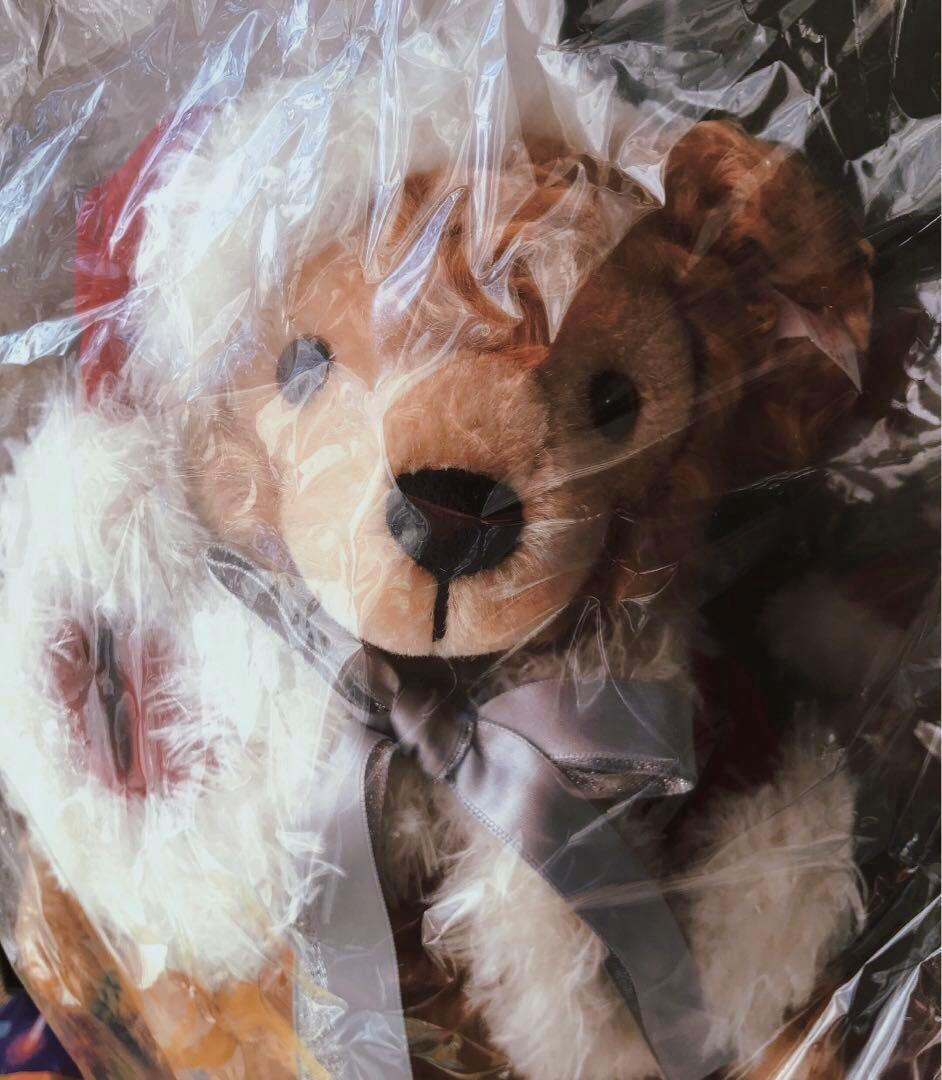 ディズニー シュタイフ ダッフィー 限定品