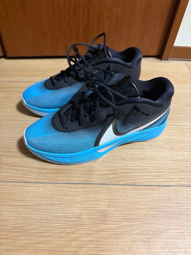 Nike Giannis freak 6 ナイキ フリーク6