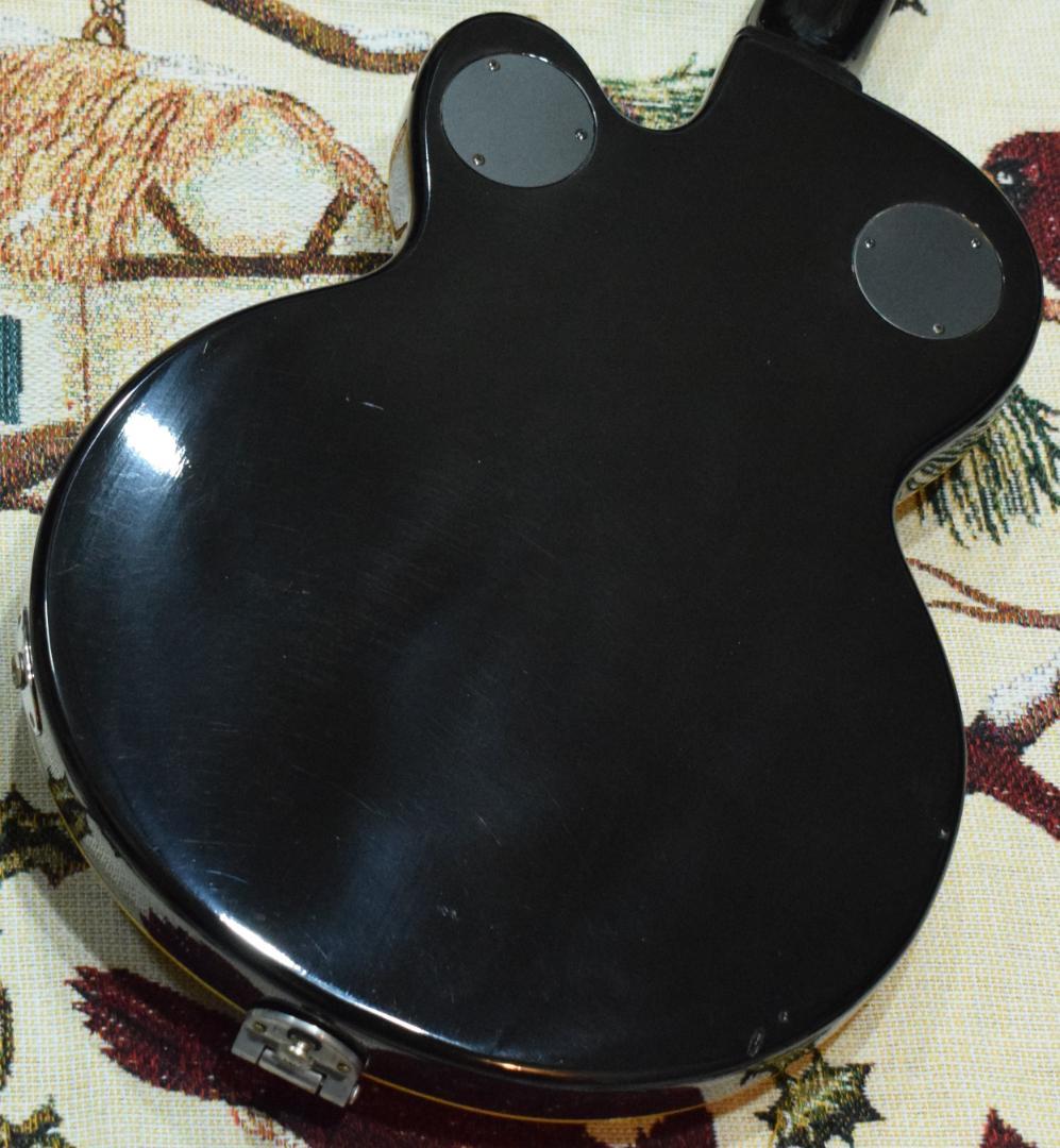 Epiphone WILDKAT TB 純正ハードケース付