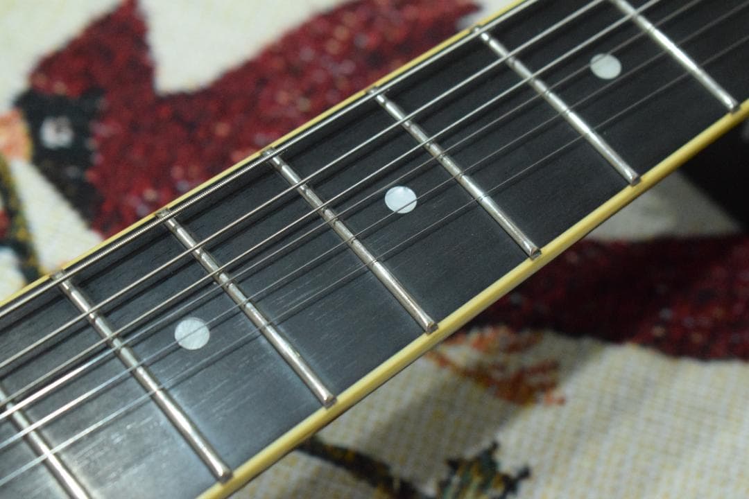 Epiphone WILDKAT TB 純正ハードケース付