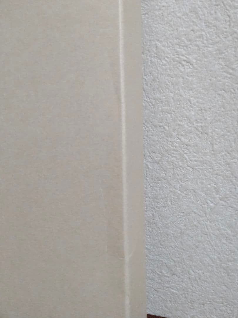 DELFONICS デルフォニクス フォトアルバム L ３冊 粘着台紙47シート