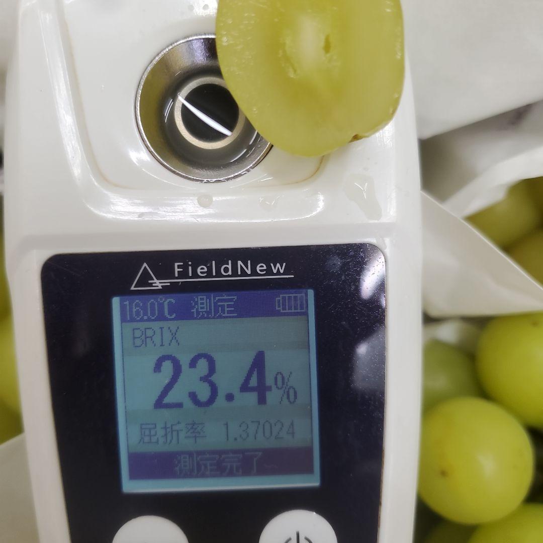 8️⃣ 山梨県産 シャインマスカット １２房入り 箱込み5.4キロ