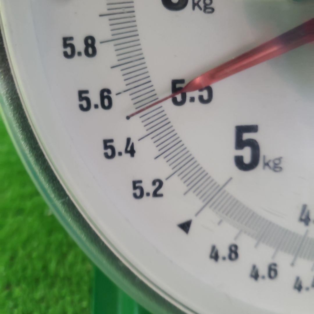 8️⃣ 山梨県産 シャインマスカット １２房入り 箱込み5.4キロ