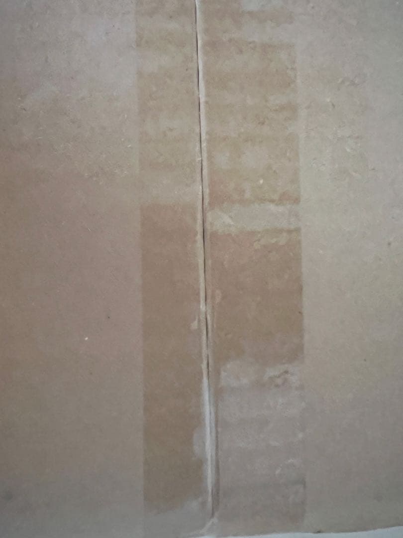 R*✨様 【正規品】Labubu Big into Energy ラブブ シーク