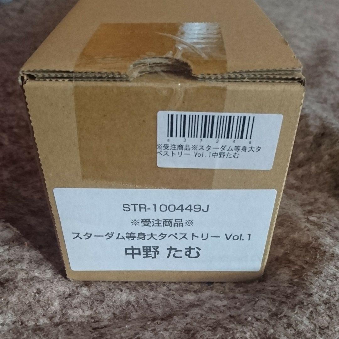 受注商品 スターダム 等身大 タペストリー 中野たむ