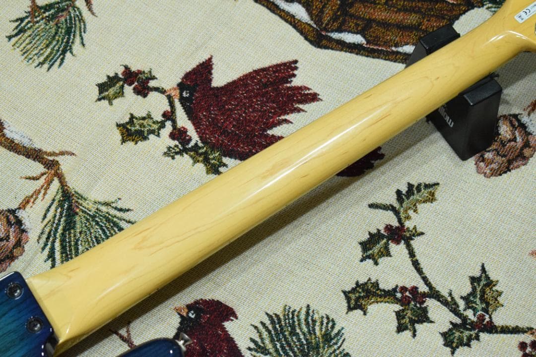 FGN NJB10MBAHV-SBB/01 5弦 状態良好 ケース付