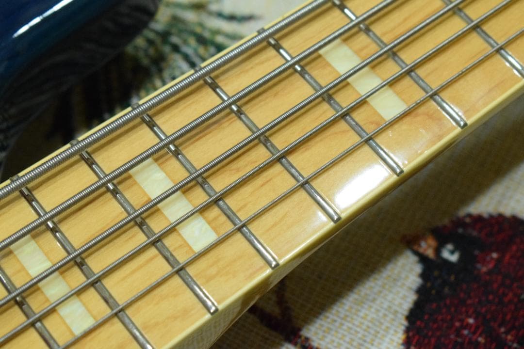 FGN NJB10MBAHV-SBB/01 5弦 状態良好 ケース付