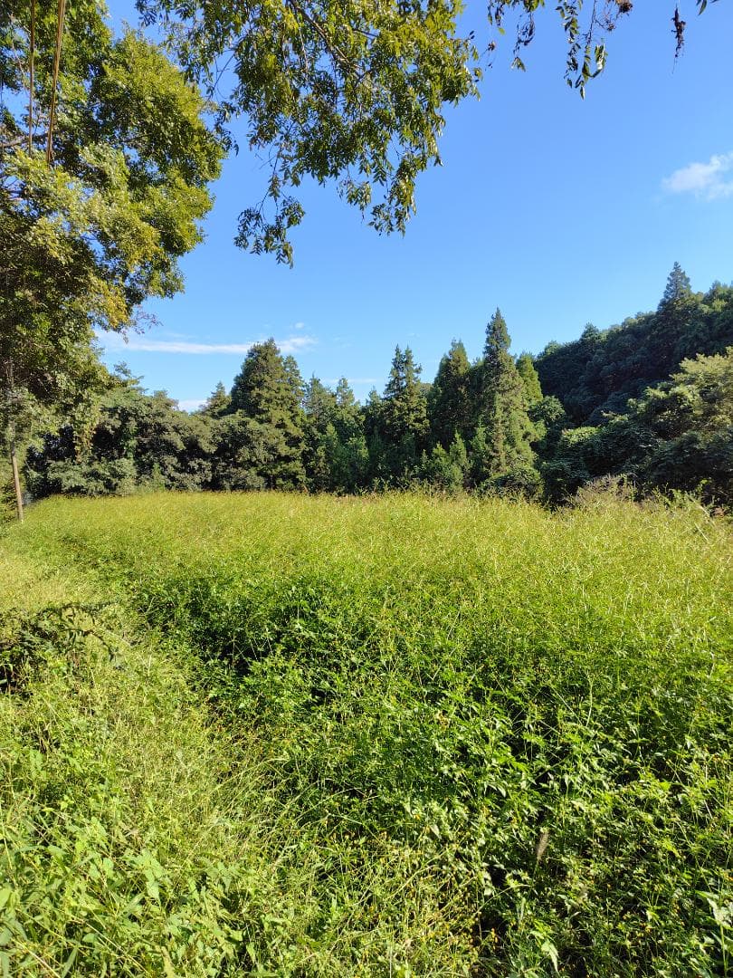 ♥️極み★稀少セット品『100％純粋春蜜の2瓶セット』《幻の天然完熟百花蜜》