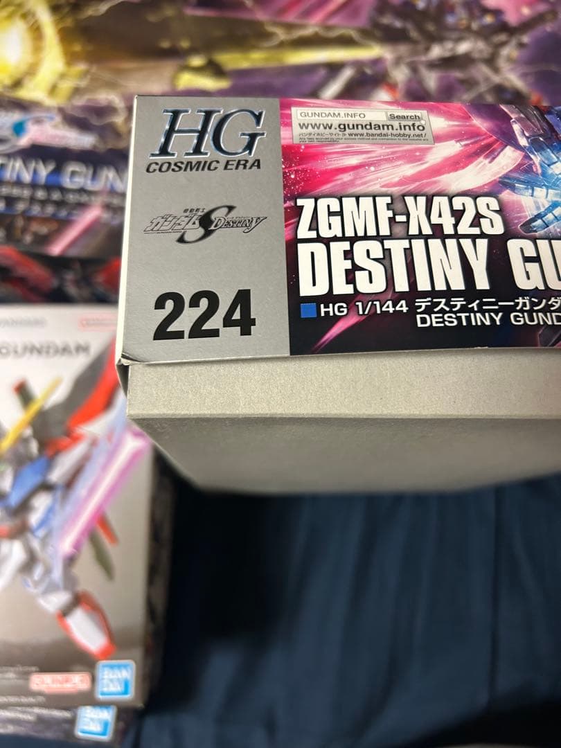 最終値下げ　12／16まで　デスティニーガンダム　プラモデル　セット