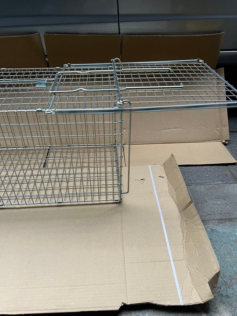 捕獲器　栄ヒルズDタイプ