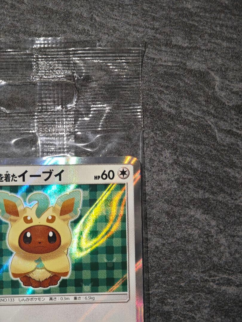 ポンチョを着たイーブイ: [SM-P 142](プロモーションカード「SM-P」