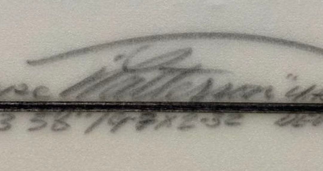 ティミーパターソン　 Timmy PatersonサーフボードDEVILFISH