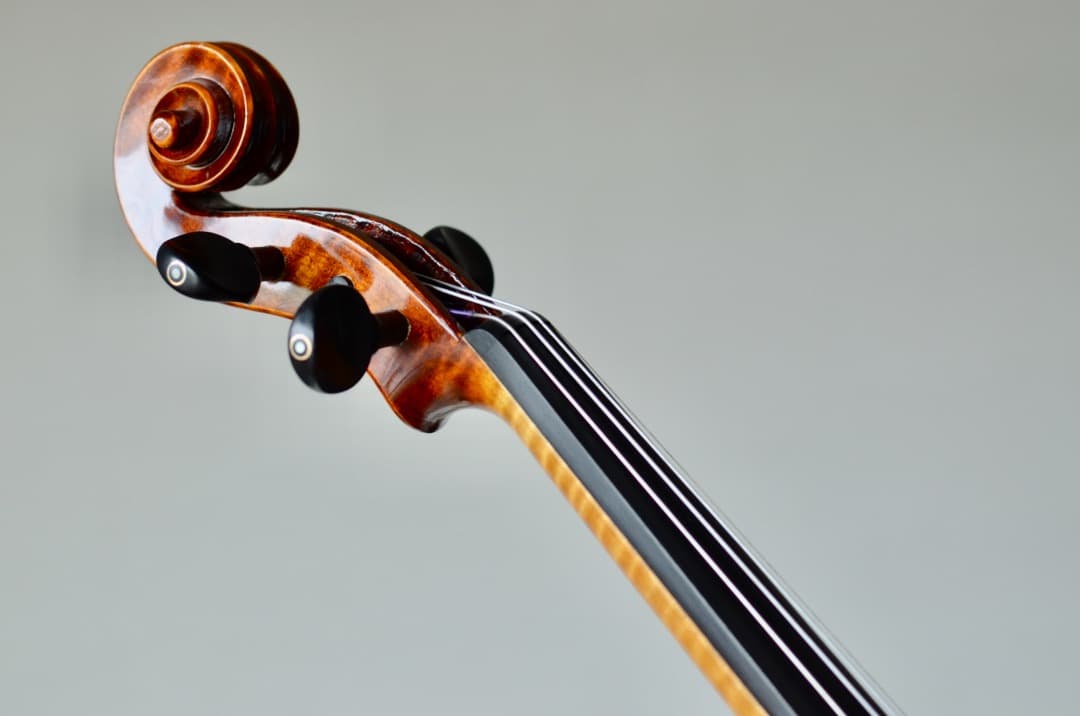 【銘器】R.Paesold No.804A バイオリン 4/4