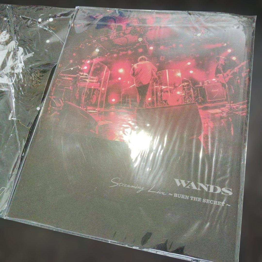 WANDS　WANDER-LAND ＆Streaming　Live ２冊セット
