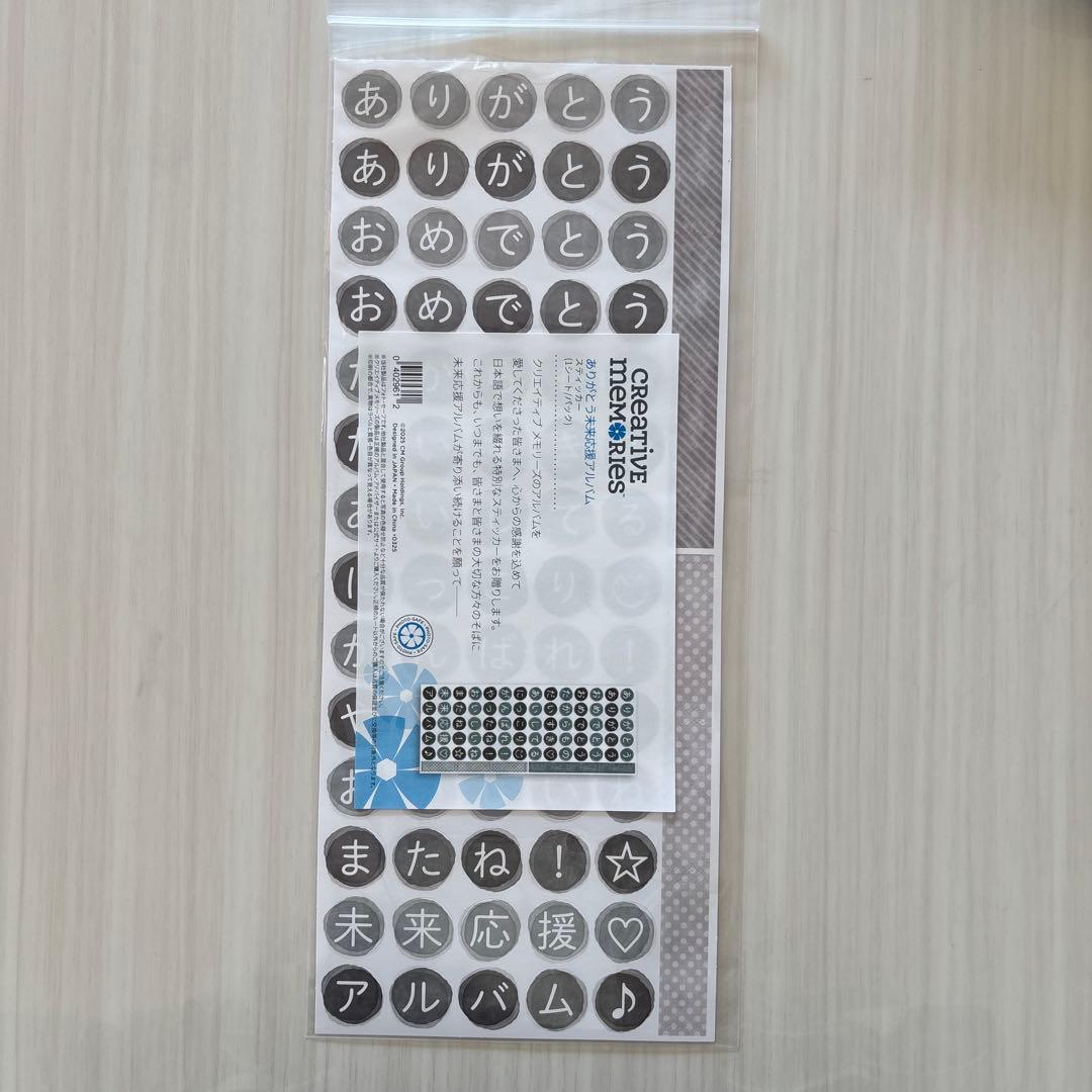 【値下げ】クリエイティブメモリーズ　アルバムカバー　ジャンボサークルパターン