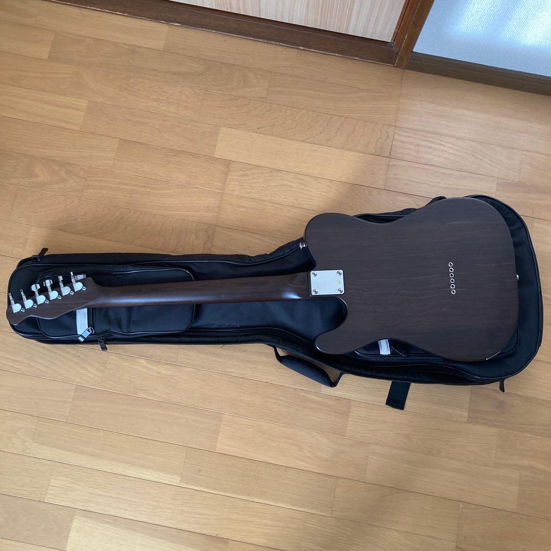 Bacchus BTE-TW テレキャスター エレキギター ソフトケース付き