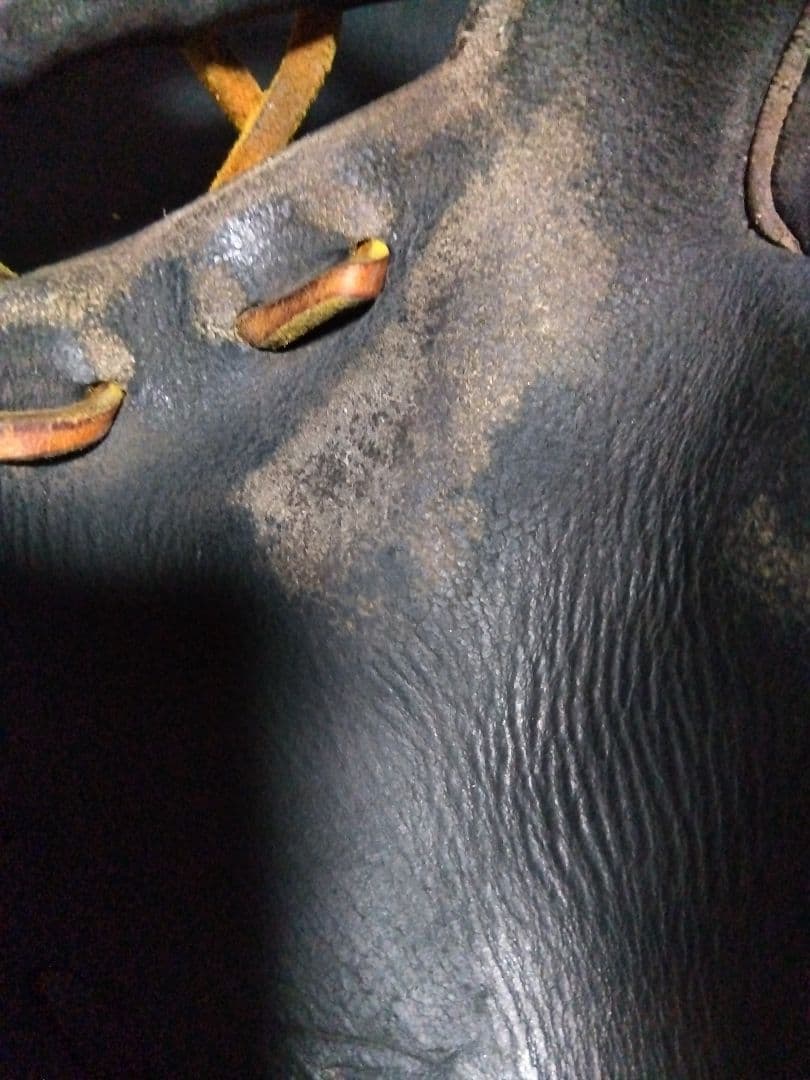 最終値下げアイピーセレクト　硬式　内野手用　グラブ　グローブ