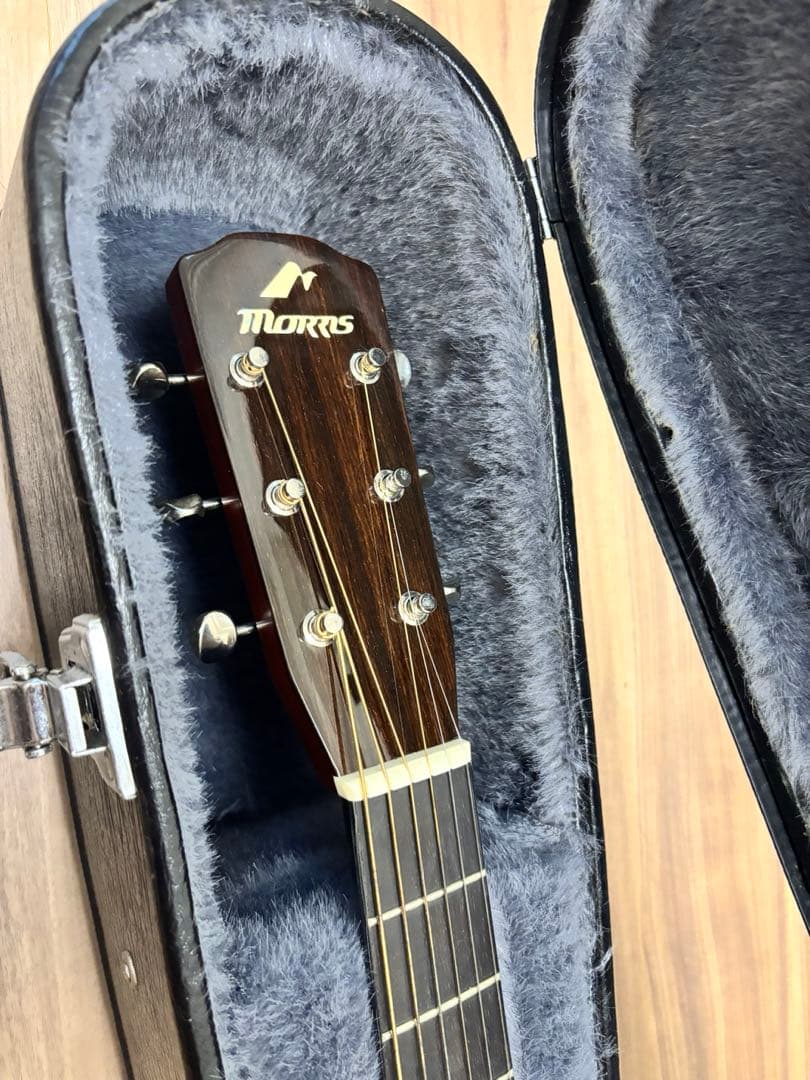 Morris アコースティックギター WF808