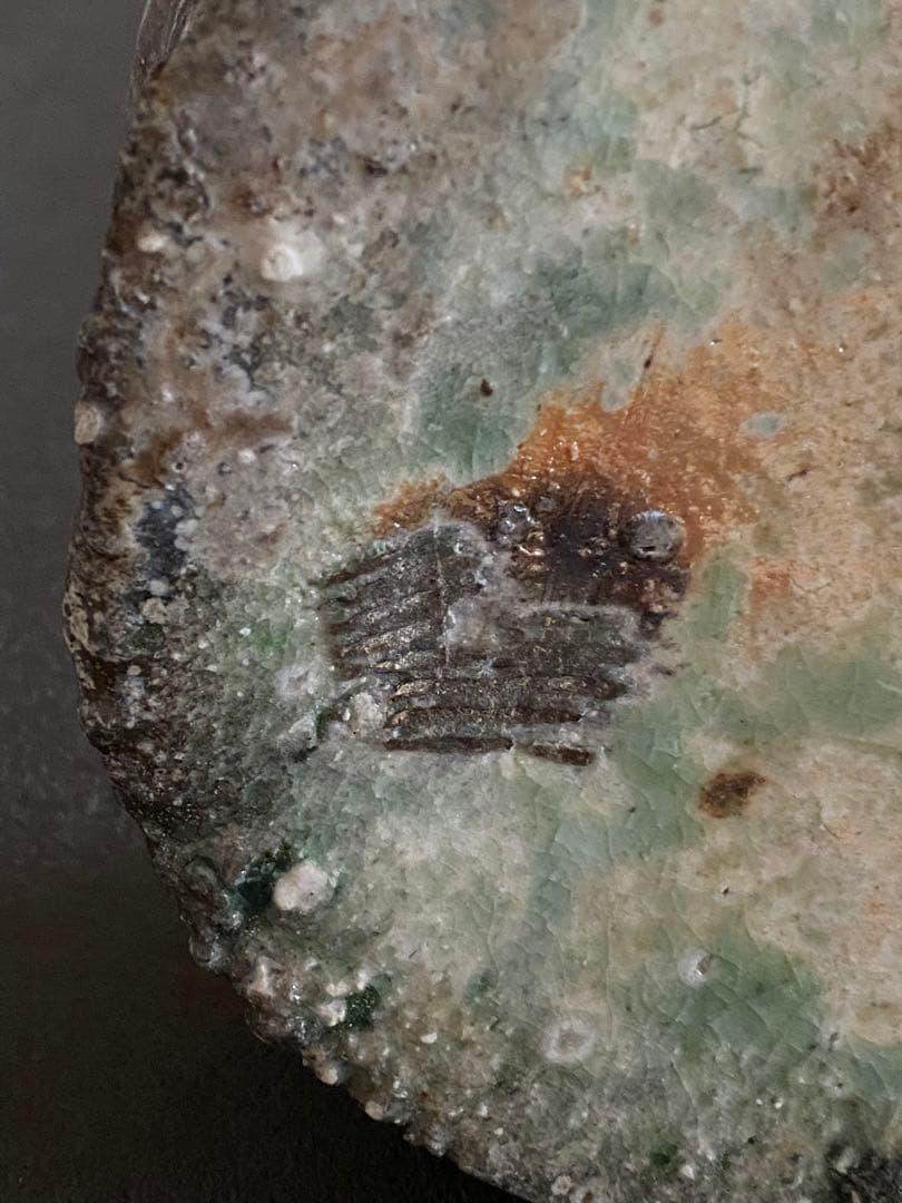 信楽焼　扁壺　花瓶　花器　井村侊生　　#3202