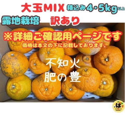 ※確認用　訳あり　大玉MIX箱込み4.5kg以上【露地栽培　不知火　デコポン】