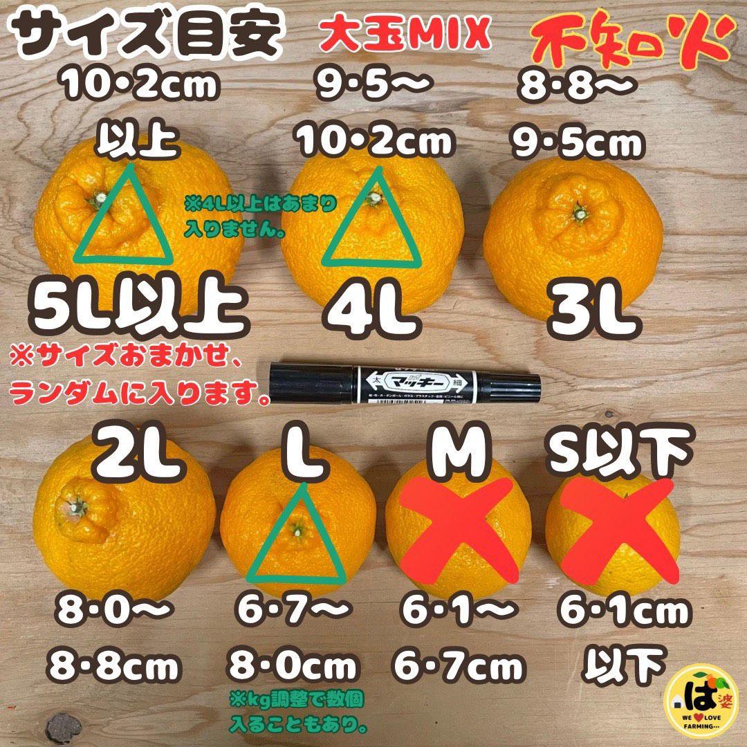 ※確認用　訳あり　大玉MIX箱込み4.5kg以上【露地栽培　不知火　デコポン】