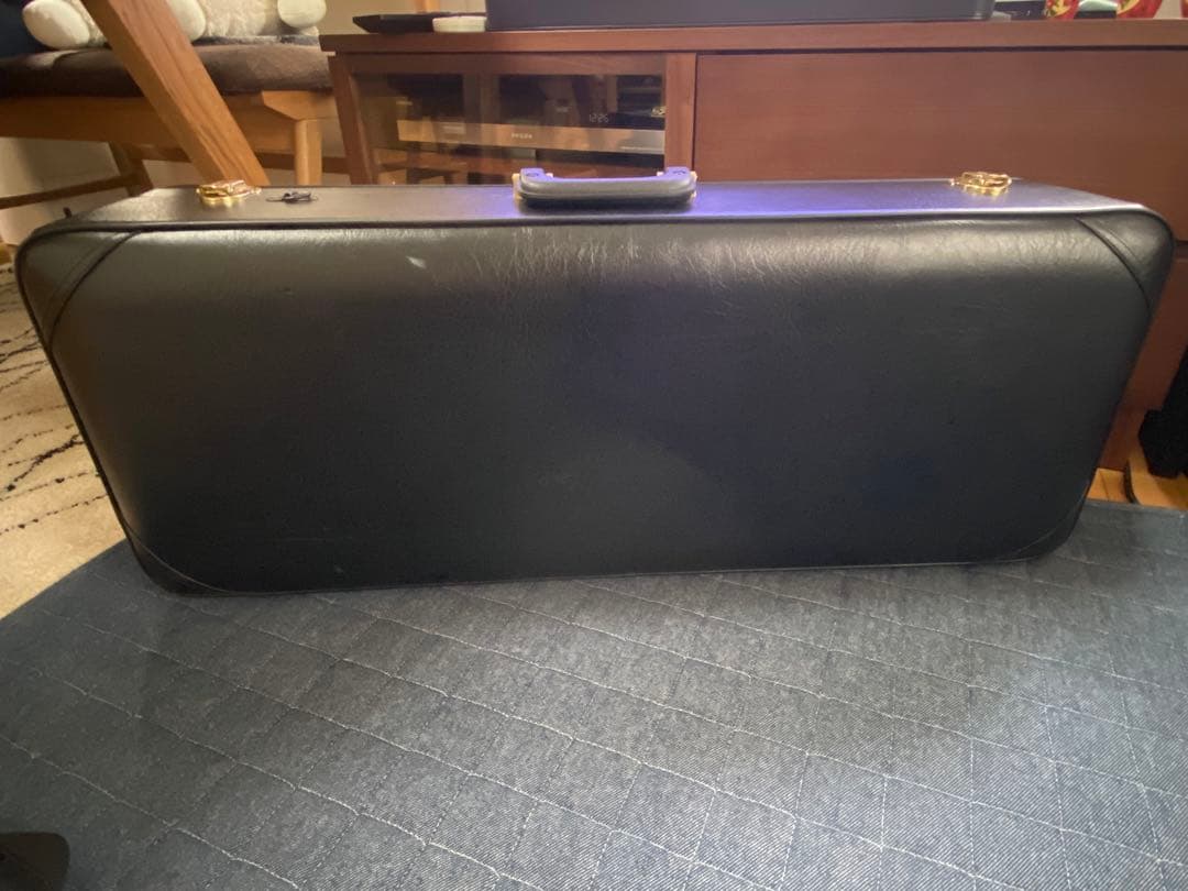 ヤナギサワ サックス　ケース　テナー