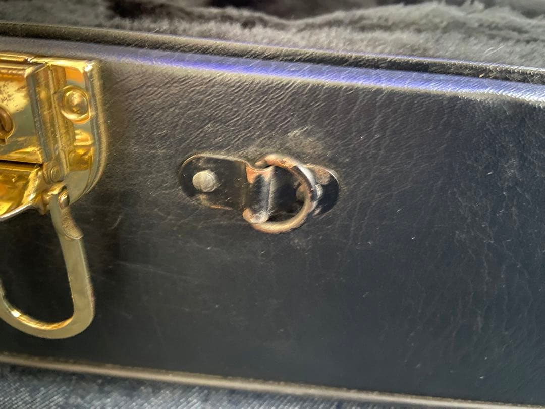 ヤナギサワ サックス　ケース　テナー