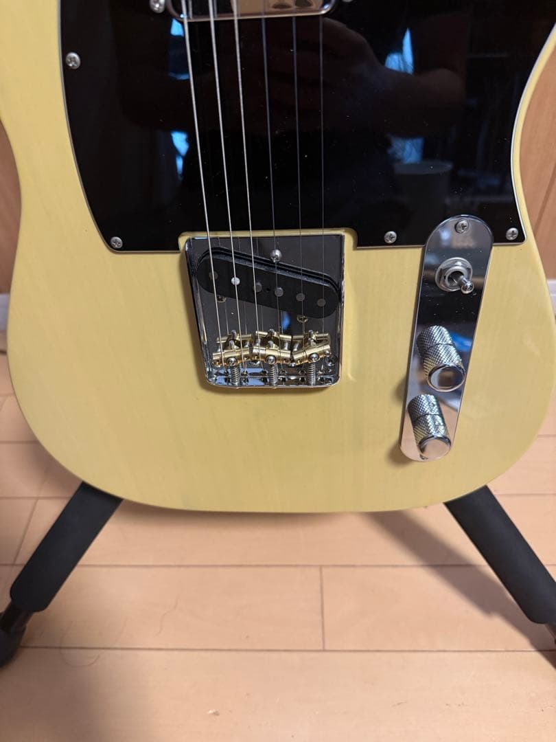 Momose MT2-STD/M BBD MOD テレキャスター MG-T