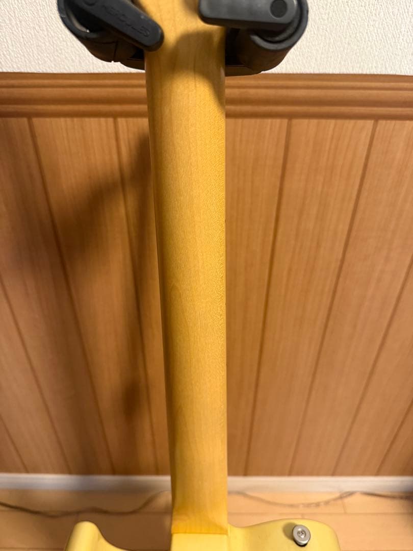 Momose MT2-STD/M BBD MOD テレキャスター MG-T