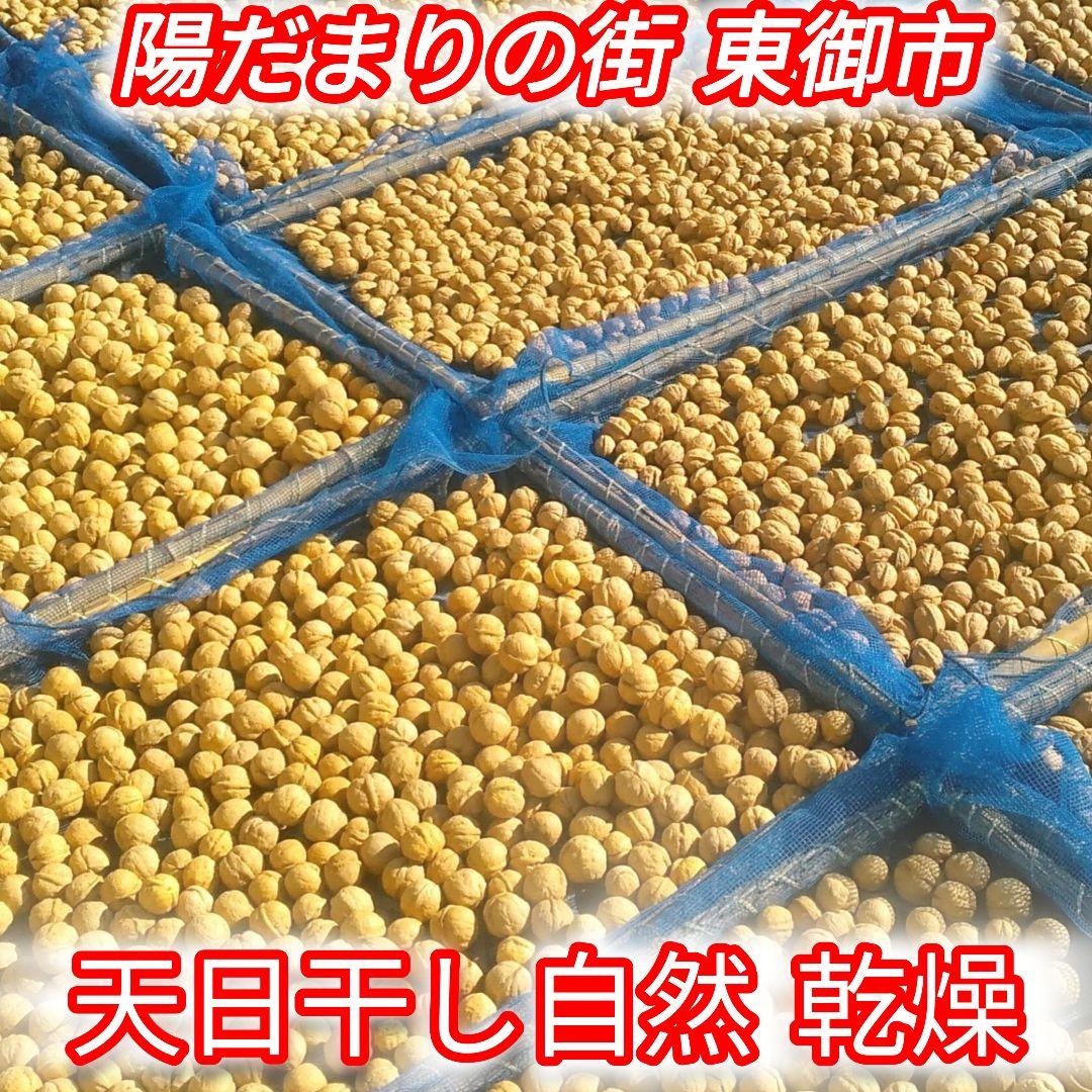 くまたくん商品 25年産 新物 国産 殻付き信濃くるみ 長野県産