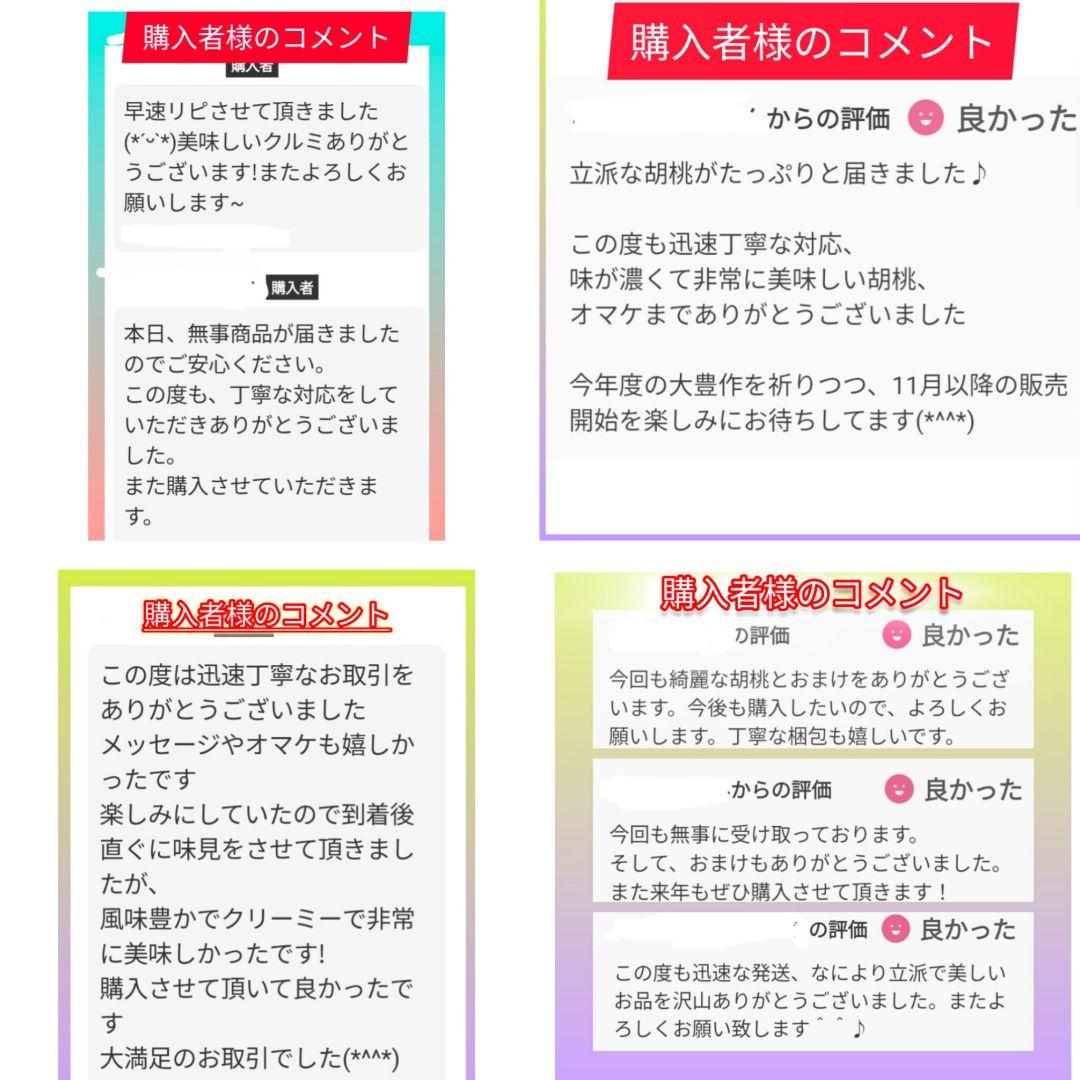 くまたくん商品 25年産 新物 国産 殻付き信濃くるみ 長野県産