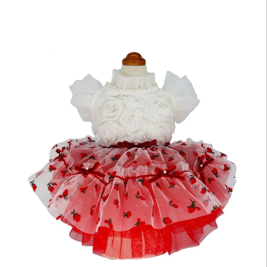 リュクスバーディ　ルージュワンピース バレッタセット