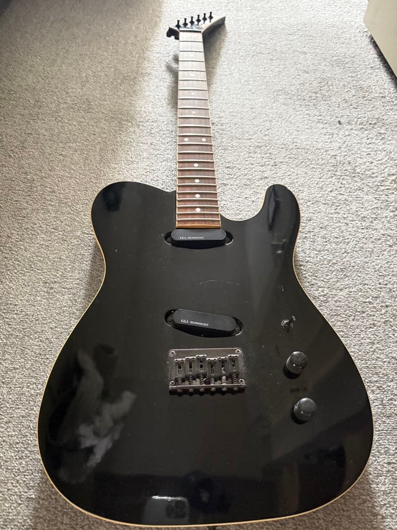 FERNANDES TEJ-75　白文字F.G.I