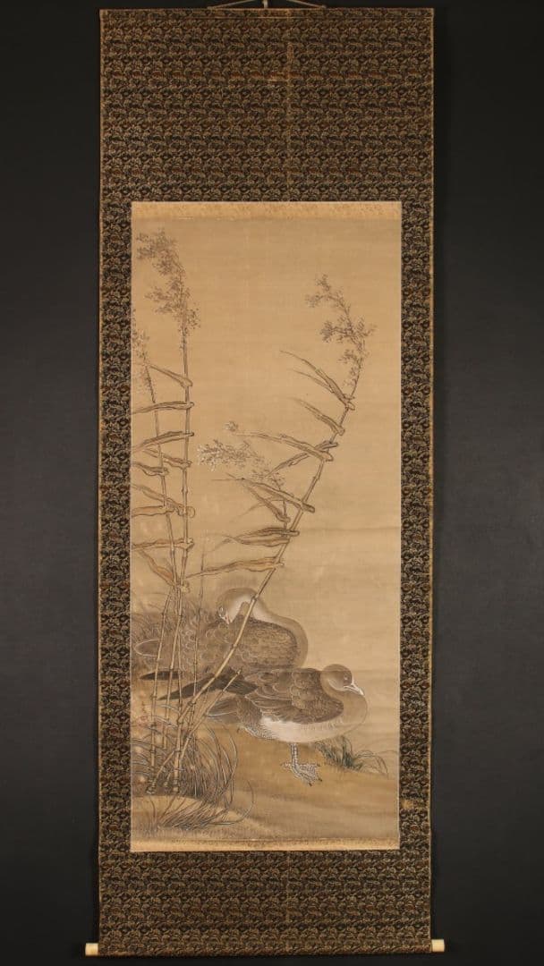 谷文晁　［芦雁図］ 耕南極箱 江戸文人画大家 骨軸先　掛軸