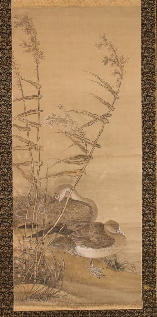 谷文晁　［芦雁図］ 耕南極箱 江戸文人画大家 骨軸先　掛軸