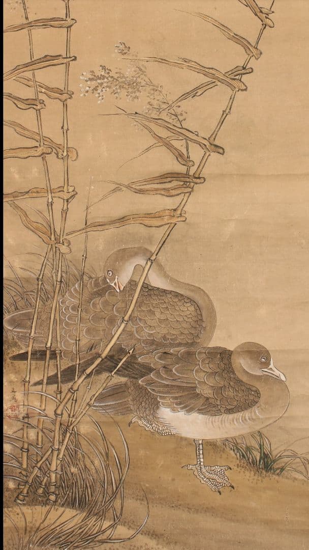 谷文晁　［芦雁図］ 耕南極箱 江戸文人画大家 骨軸先　掛軸
