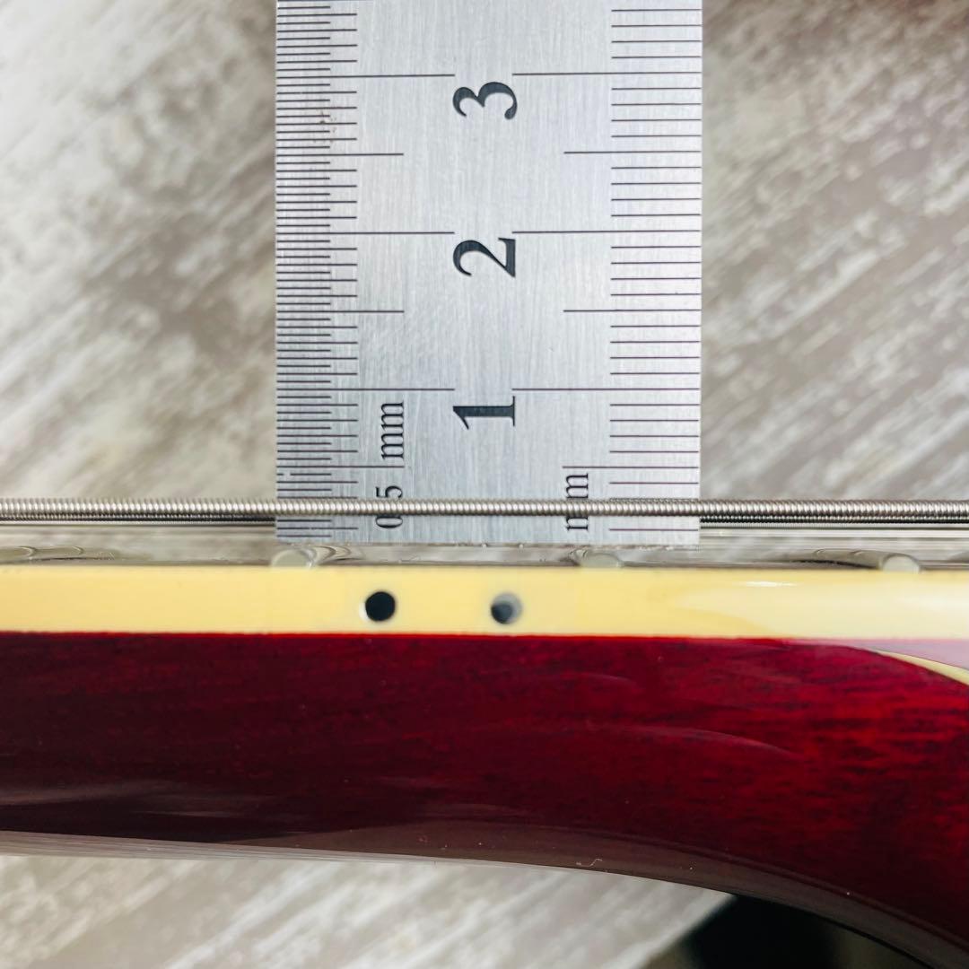 【極美品】フジゲンFUJIGEN/FGN NLS20RFM-FCB/02 ギター