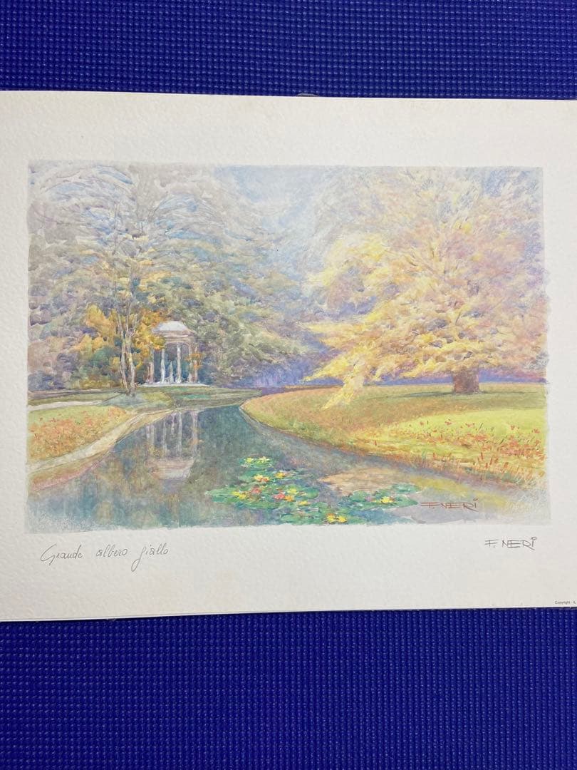 F. NERI 水彩画 Grazia della Folla