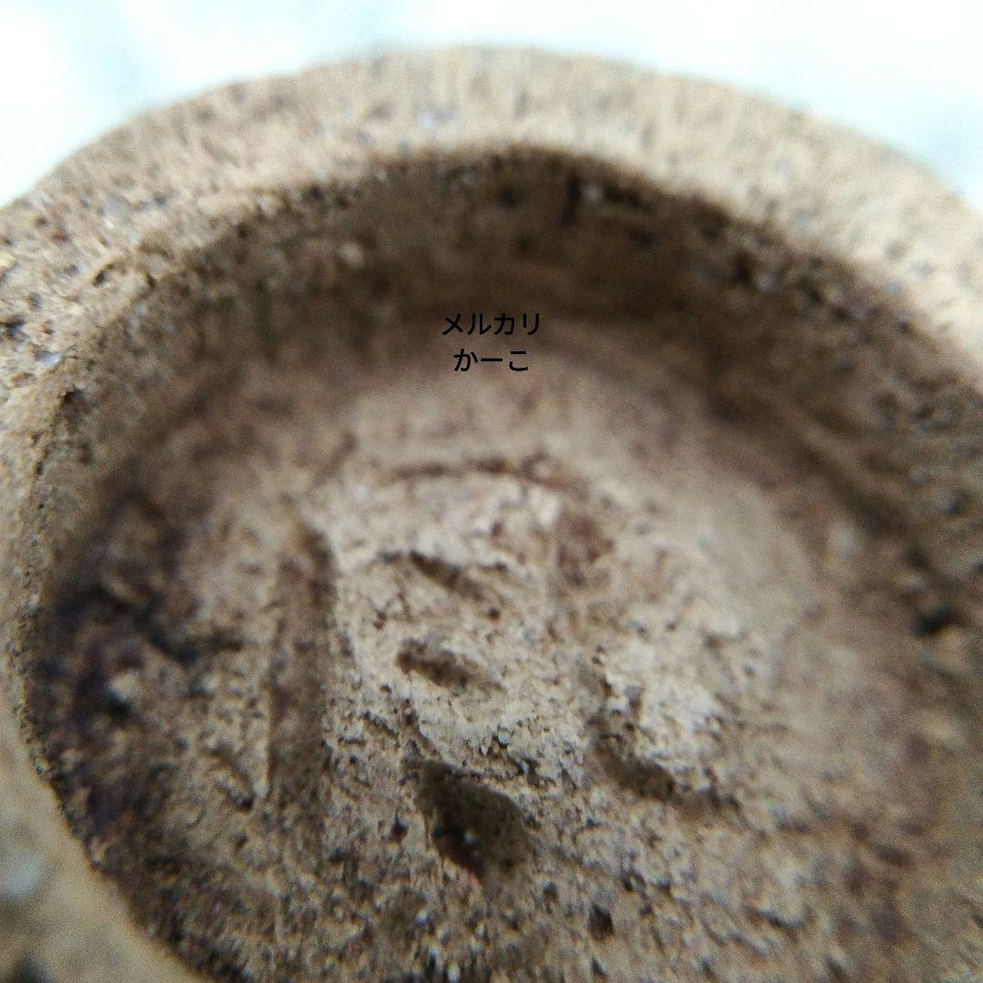 森風来　ぐい呑み　お猪口　手びねり