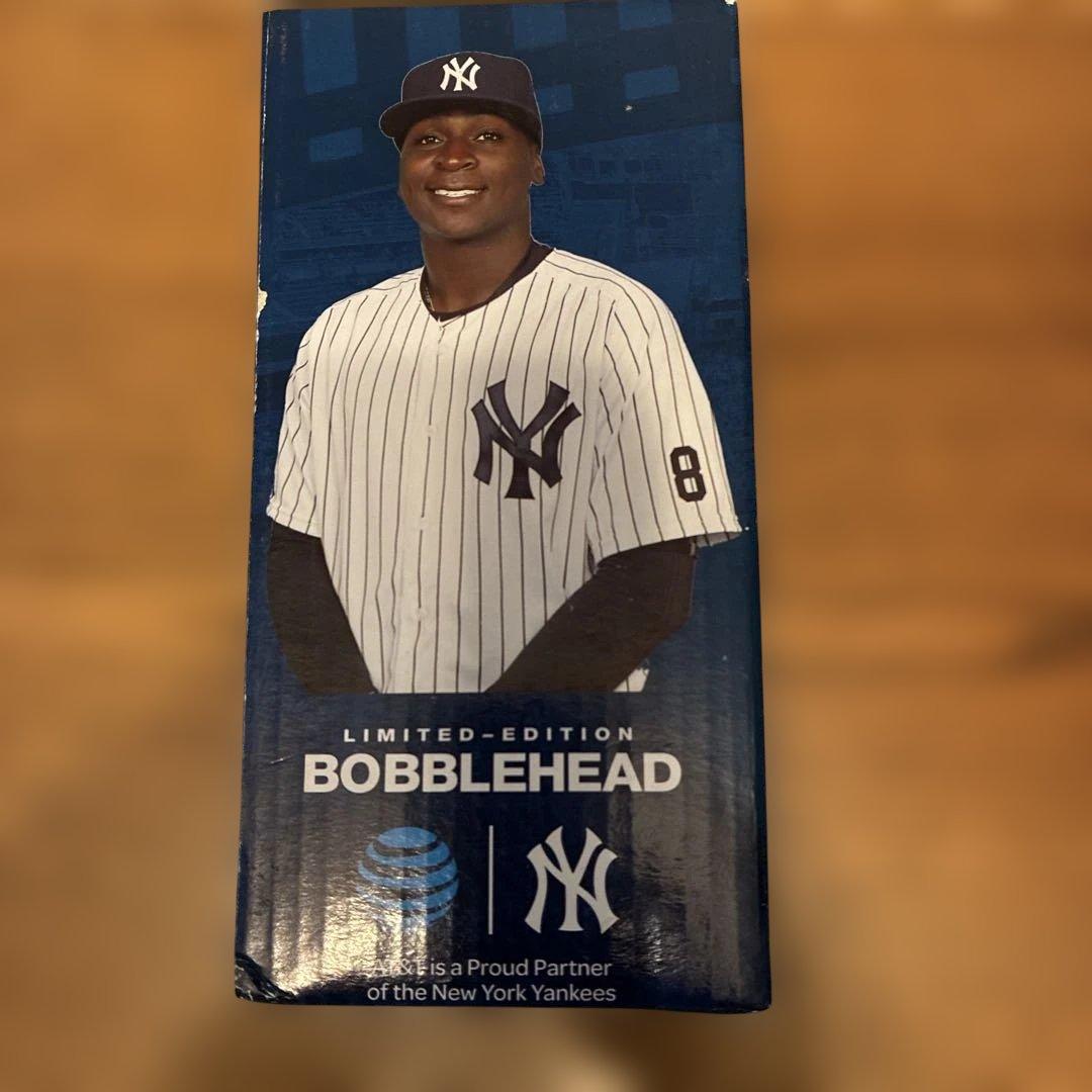 DIDI GREGORIUS ボブルヘッド コレクション#3