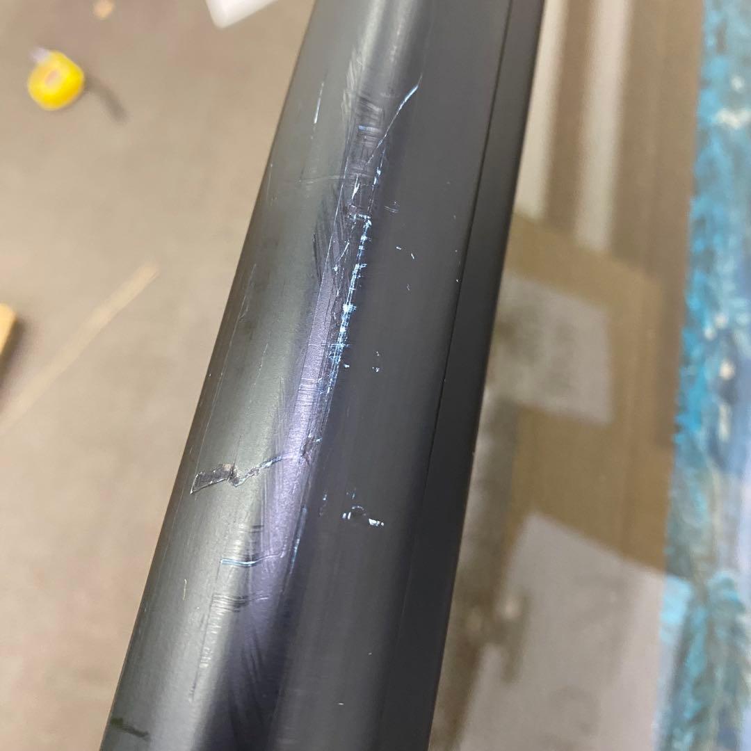 【アールビバンではない】ラッセン 74/100 初期シルクスクリーン絵中サイン