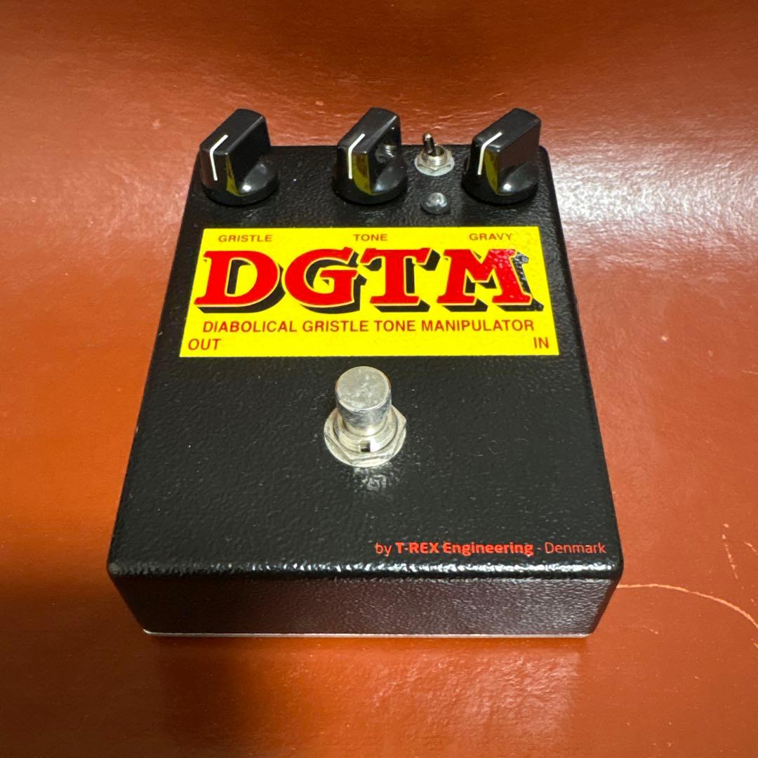 ギター T-rex DGTM
