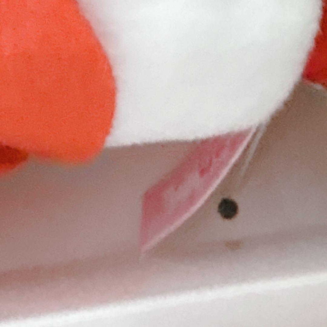 【新品】ハローキティ バースデーフラワーコレクション　マスコット　ぬいぐるみ