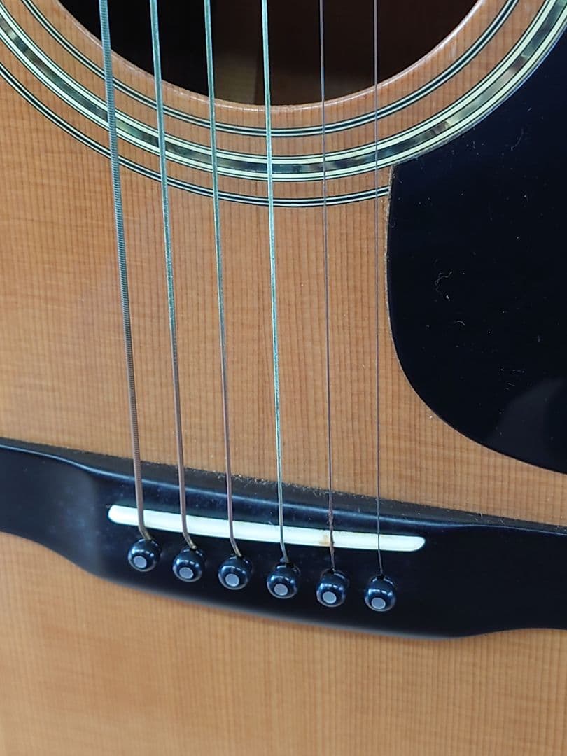 ナルト ギター Morris W-50 TF﻿